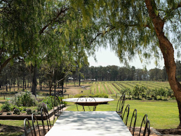 Vinden Cellar Door View