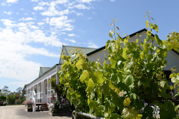 TREAND Cellar Door 4