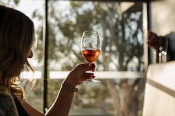 Caledon Estate Vineyard Cellar Door 2