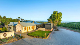 Oliver-s Taranga Vineyards Cellar Door 3