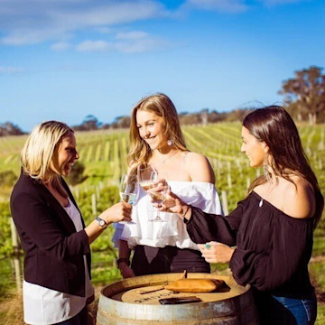 Wills Domain Cellar Door
