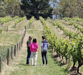 Flaxman Wines Cellar Door