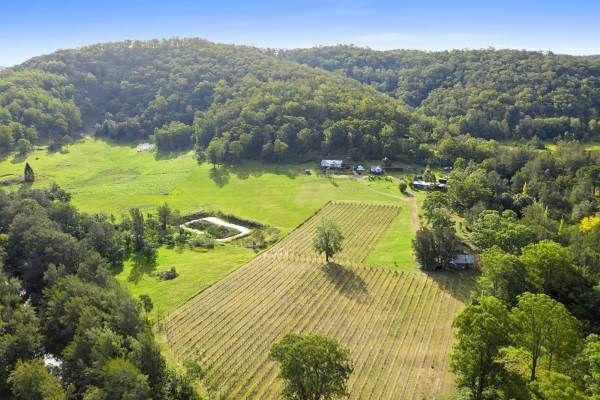 Wollombi Wines