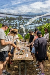Glenarty Road Cellar Door 1