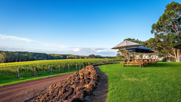 Hamelin Bay Wines Cellar Door