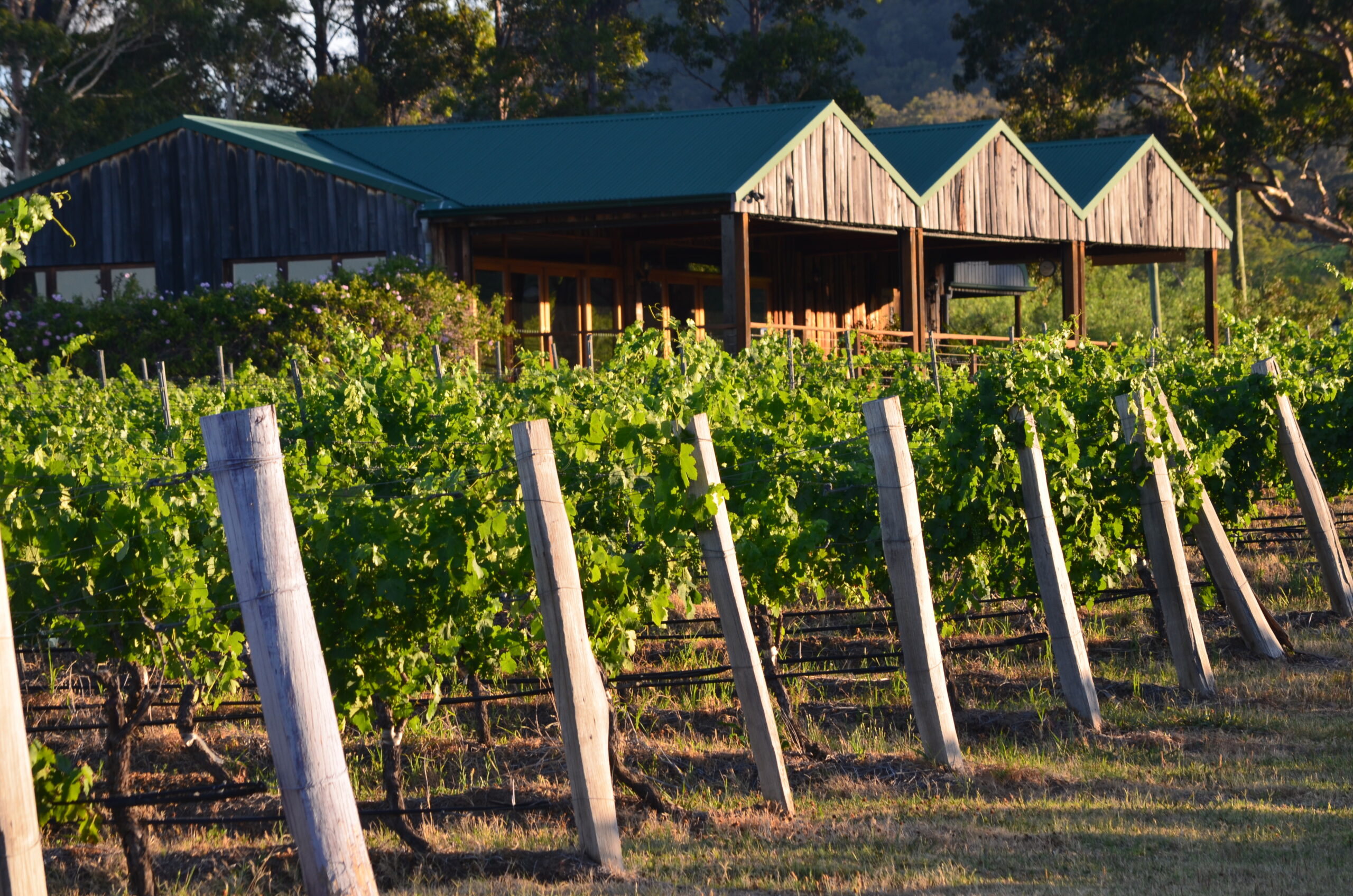 Baringbah Wines Hunter Valley Book a Wine Tasting