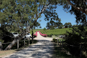 DogRidge Cellar Door 2