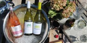 Tulloch wines