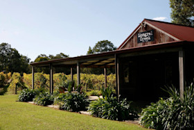 Mongrel Creek Vineyard Cellar Door