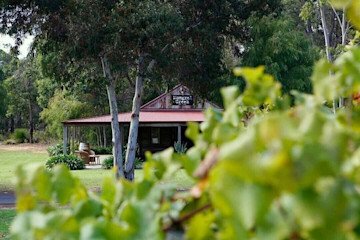 Mongrel Creek Vineyard Cellar Door