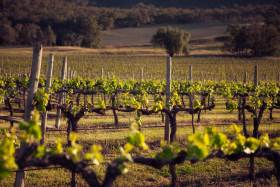 james-estate-wines-baerami-hunter-valley-contact-us