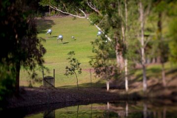 Long Point Cellar Door 1