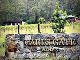 Caels Gate Wine Cellar Door 3