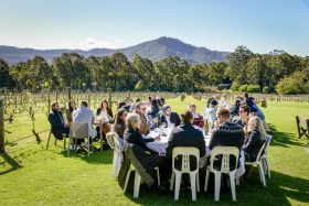 Cambewarra Estate Cellar Door 3