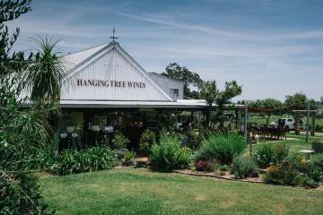 Hanging Tree Wines