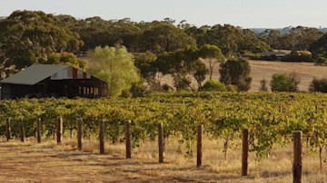 Garden & Field Wines Cellar Door