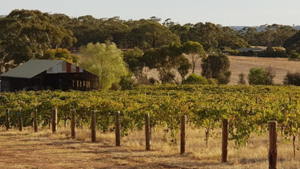 Garden & Field Wines Cellar Door