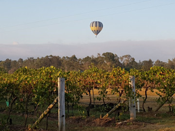 Wine Tasting at Berand Estate