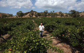 Geoff Merrill Wines Cellar Door 5