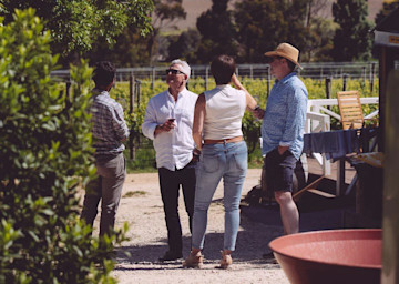 Ashton Hills Vineyard Cellar Door