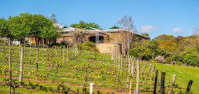 Geoff Merrill Wines Cellar Door 3