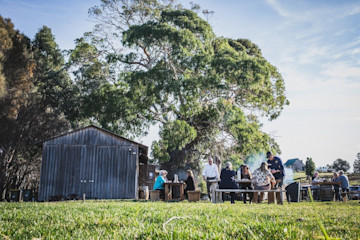 Craigie Knowe Vineyard Cellar Door