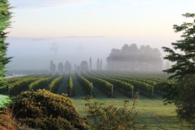 Cherry Tree Hill Cellar Door 4