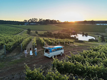 Wills Domain Cellar Door