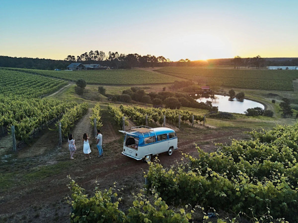 Wills Domain Cellar Door