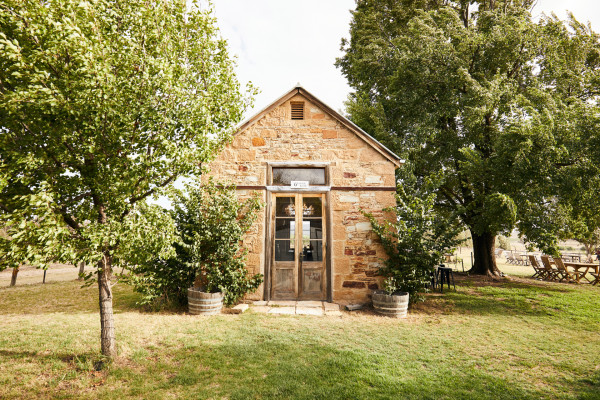 cellar-door-image-for-website