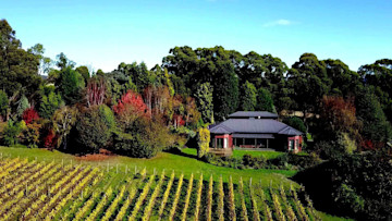 Grey Sands Vineyard Cellar Door