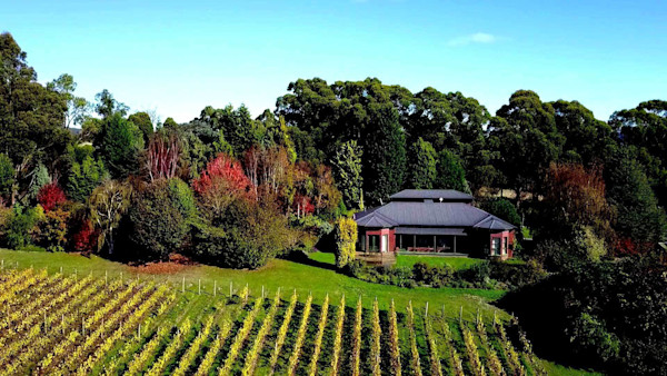 Grey Sands Vineyard Cellar Door