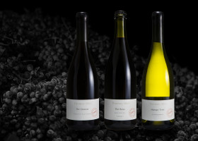 Thomas Allen wines