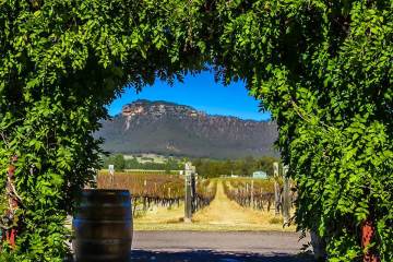 nightingale-wines-hunter-valley-vineyard-broke-winery