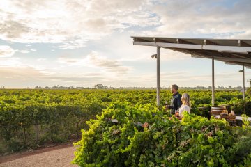 Yarran Cellar Door 1