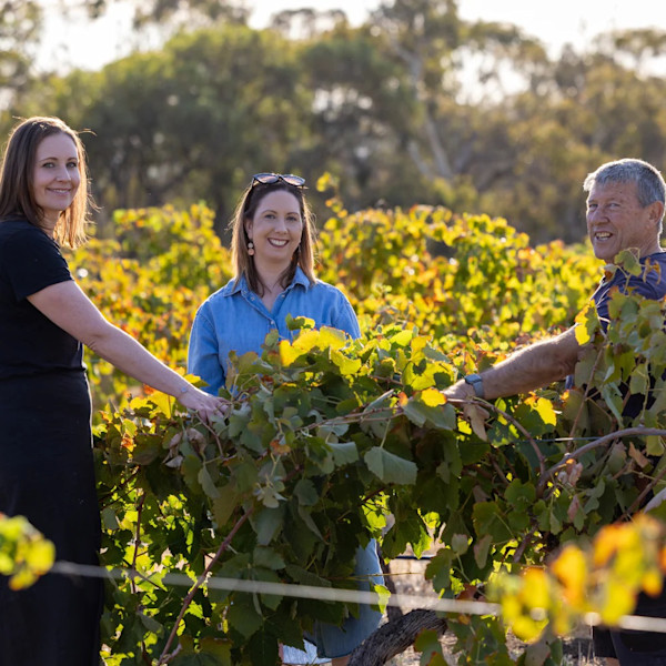 Two Sisters Wine Cellar Door 1