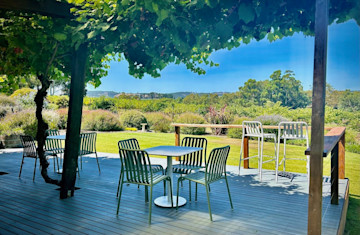 Alluca Vineyards Cellar Door 3