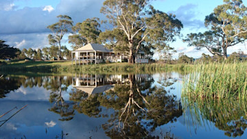 Milton Vineyard Cellar Door