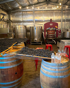 Rojomoma Cellar Door