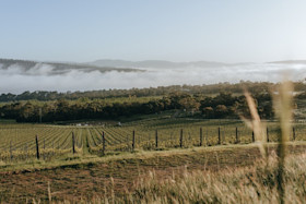 Stefano Lubiana Wines Cellar Door