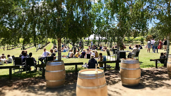 Phaedrus Estate Cellar Door