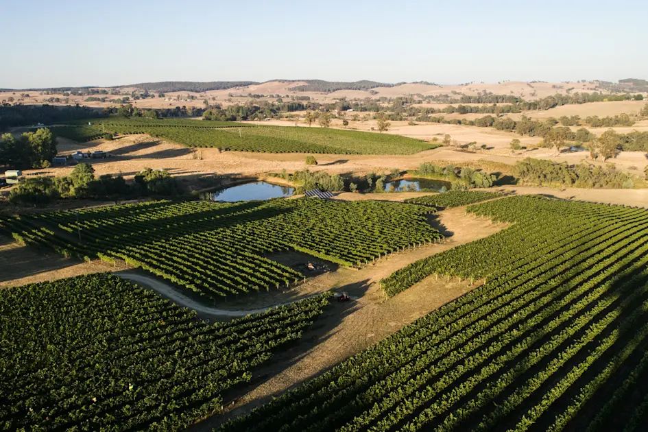 Canberra 11 Wineries with Restaurants Book Wine Tastings