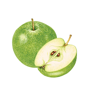 icon-nav-fruit-sour-apple.png