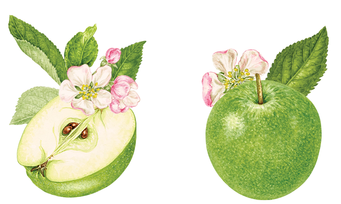 sour-apple-collection.png