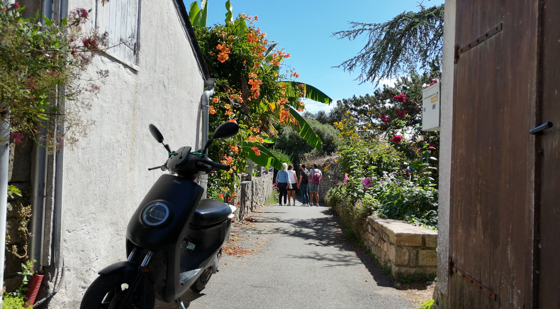 photos du projetÎle-Aux-Moines - Ruelle de la Forge 