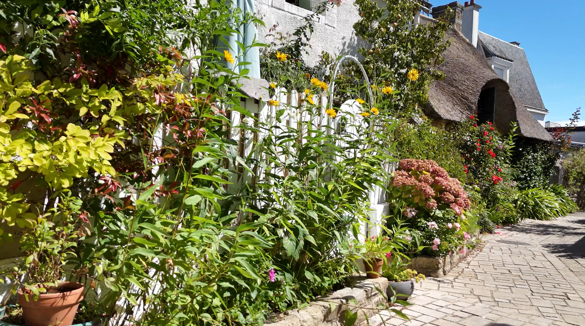 photos du projetÎle-Aux-Moines - Ruelle de la Forge 