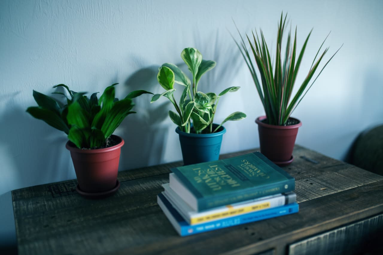 Photo by Josh Sorenson from Pexels