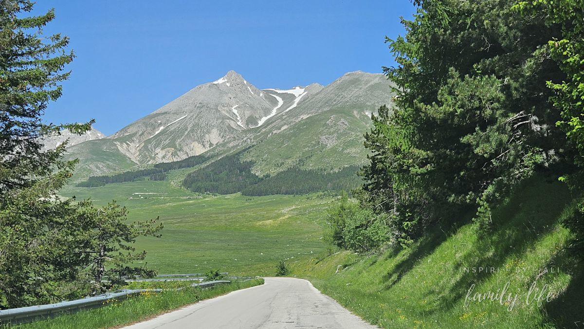 watermark-20250608 114122