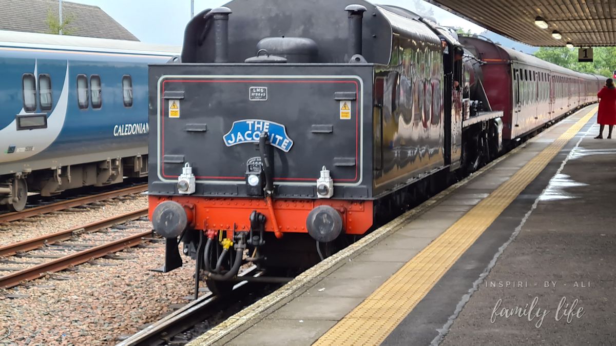 watermark-20230921 160021