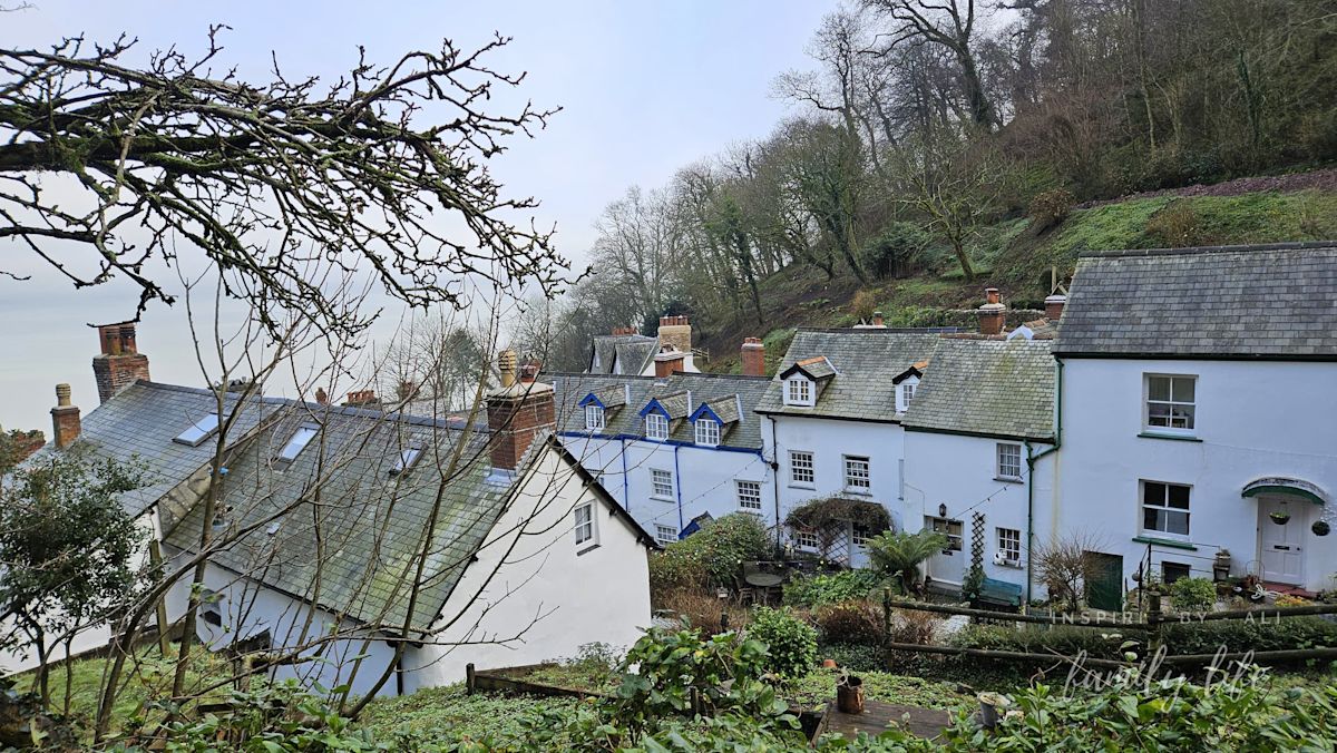 watermark-20241227 124349